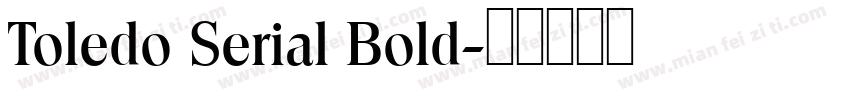 Toledo Serial Bold字体转换